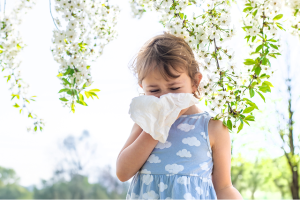 Primavera: Saiba como se proteger das alergias e da lagarta-do-pinheiro